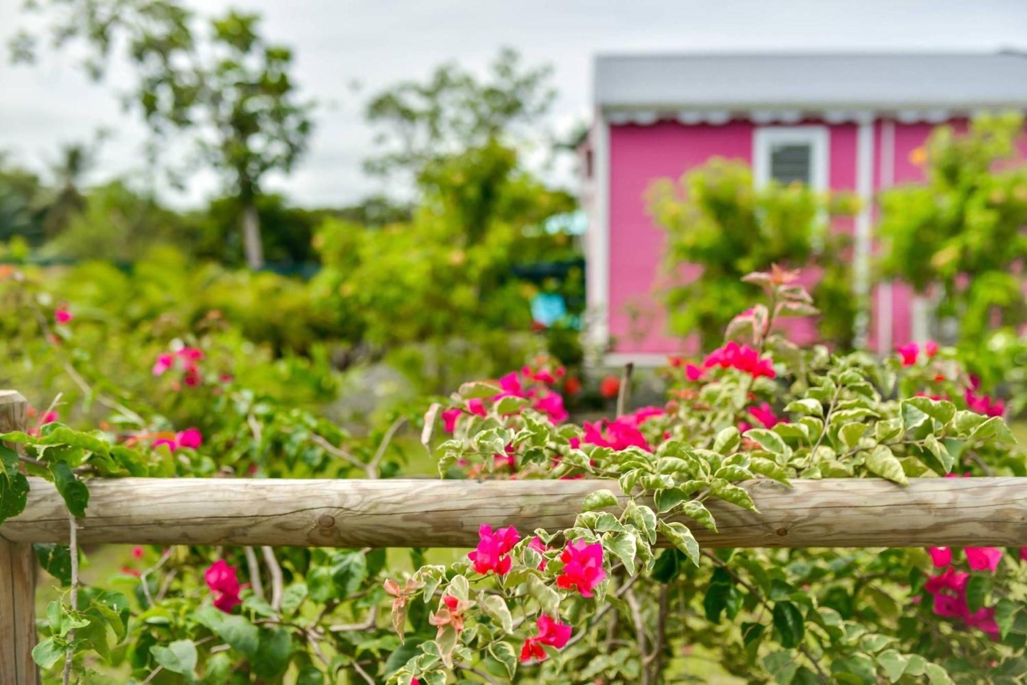 Les Jardins De Chantilly -Bungalows 4 Etoiles Avec Jardins Et Piscines Privees Baie-Mahault Szoba fotó